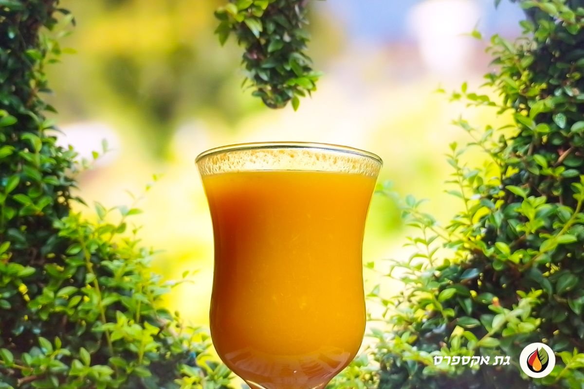 מיץ גת עד הבית