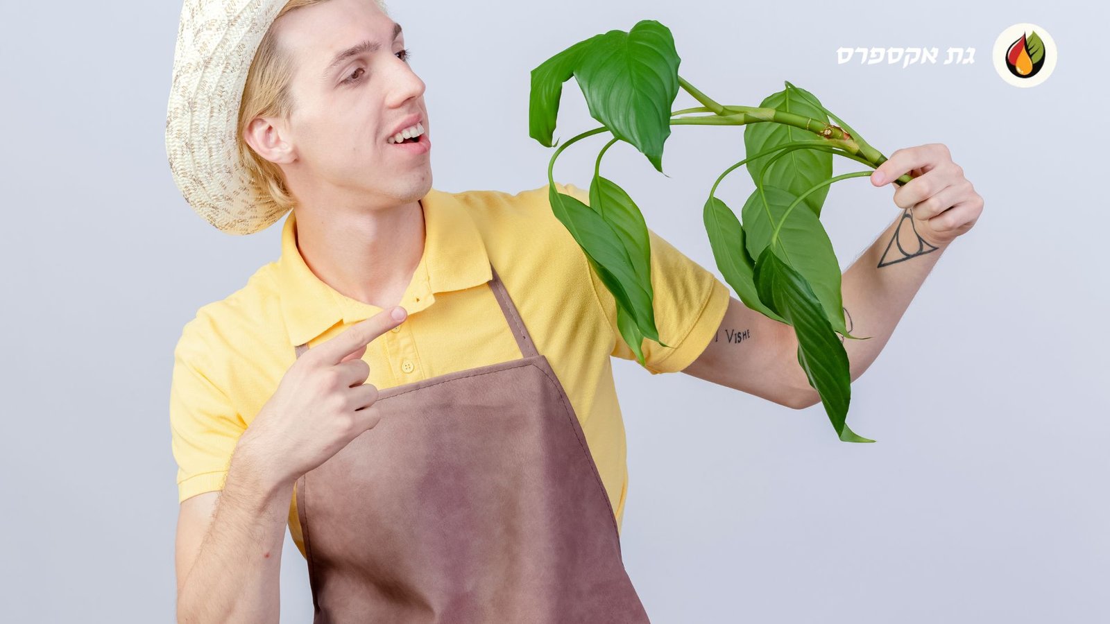 גת משלוחים