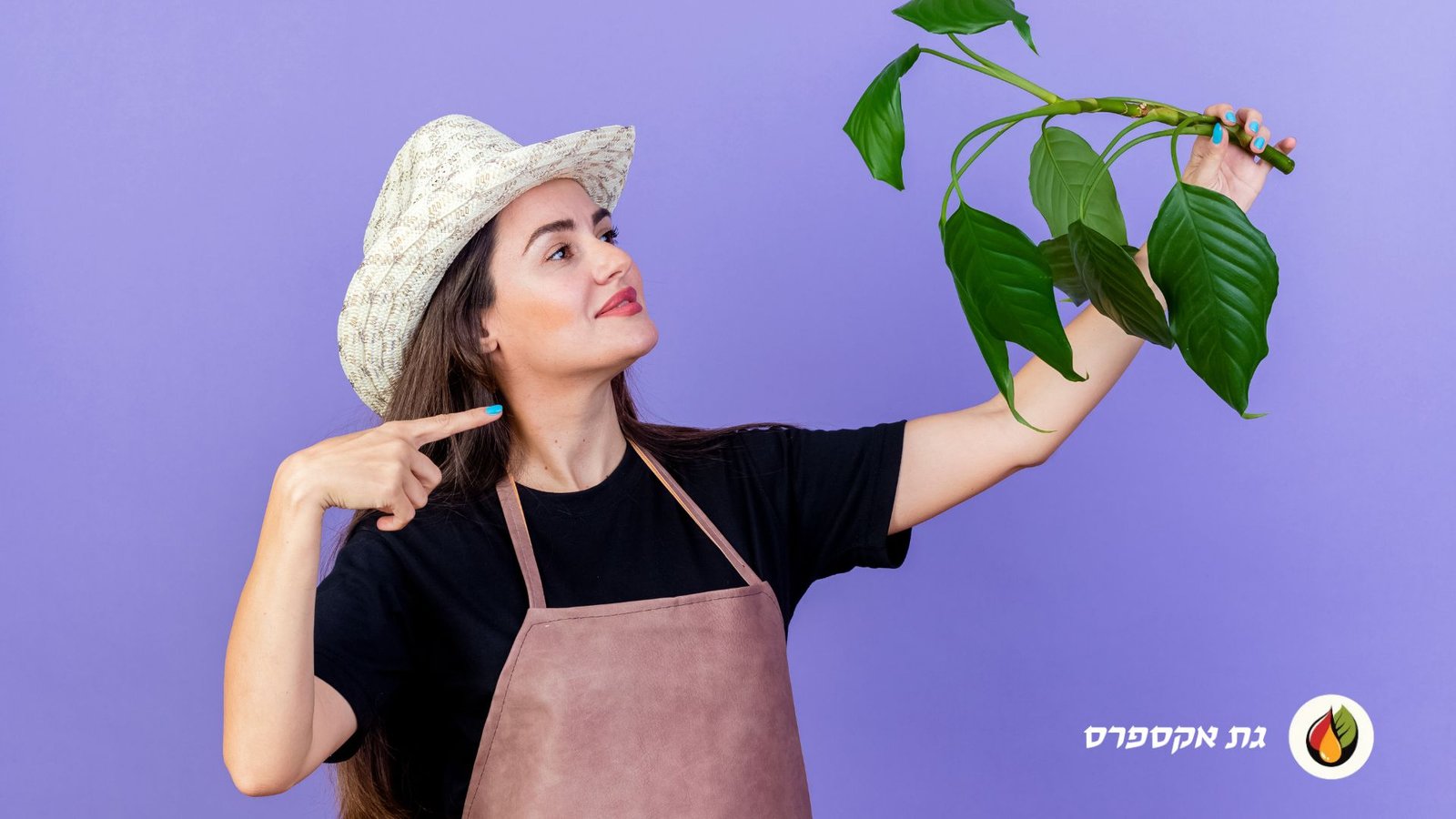 גת משלוחים